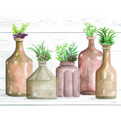 " Botanical Terra Cotta II "