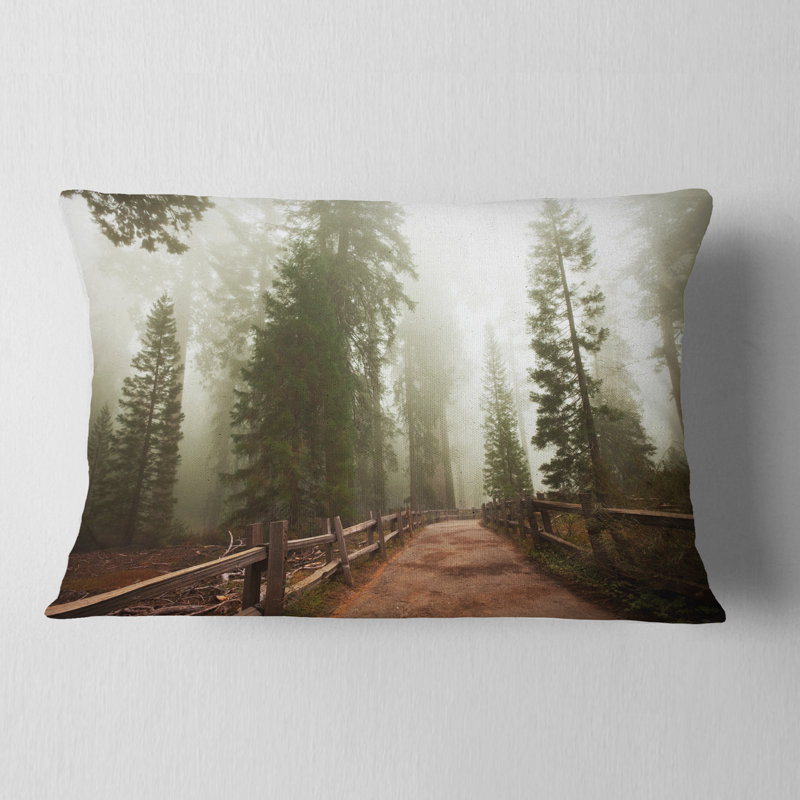 Coussin Foggy Sequoya National Park