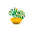 Color Cactus Piece Porcelain Dinnerware Set - Service for 6