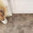 Capri 7" x 8" Porcelain Stone Look Wall & Floor Tile-86519632