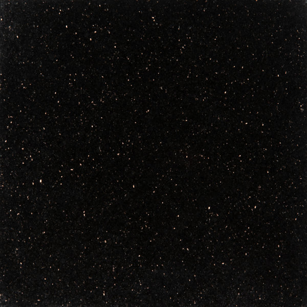 Black Galaxy 18 in. x 18 in. Polished Granite Floor and Wall Tile