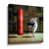 Wrapped Canvas