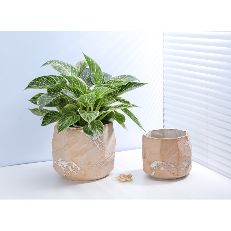 Rock Form Grower Pot By 