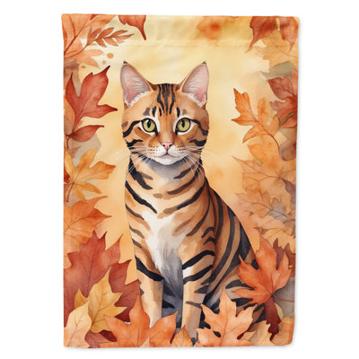 Chat en feuilles d'automne