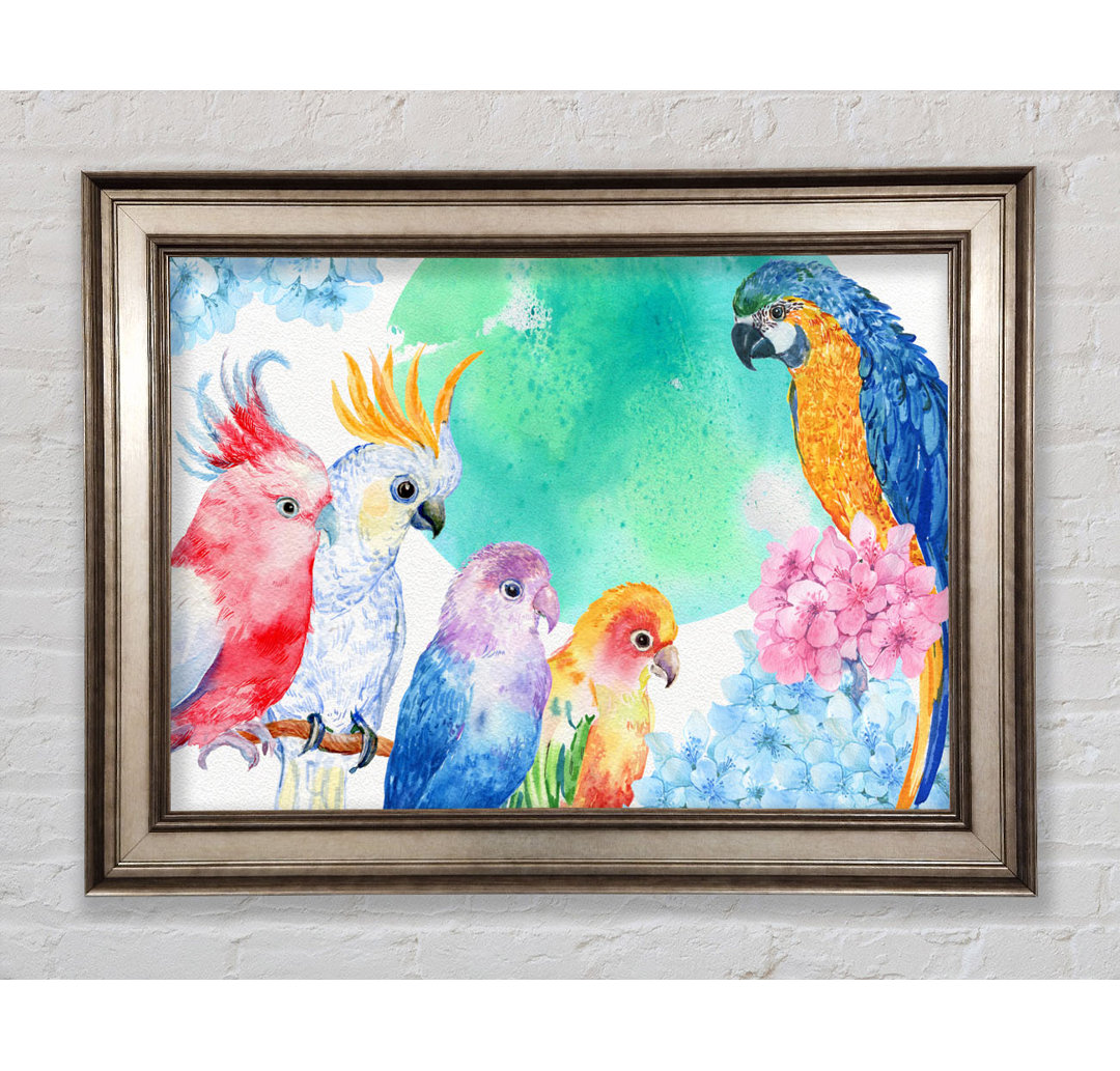 Array Of Watercolour Parrots - Einzelne Bilderrahmen Kunstdrucke