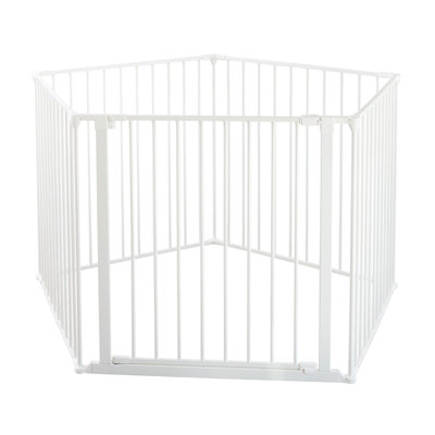 Cage pour chien 