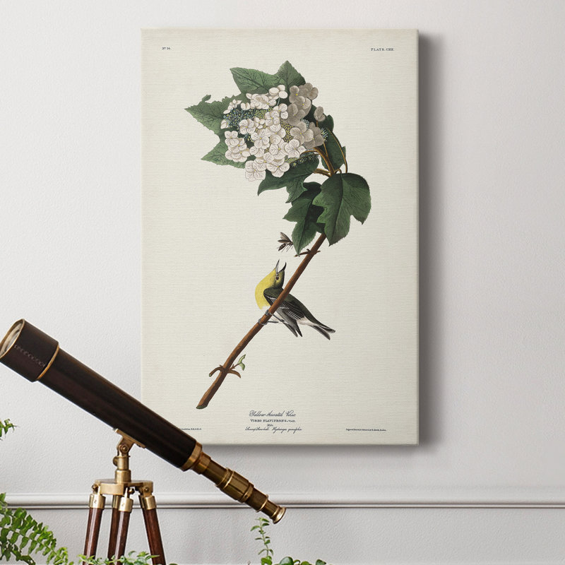 Pl. 119 Vireo à gorge jaune - reproduction d'art sur toile tendue, H 60 po x l 40 po x P 1 po