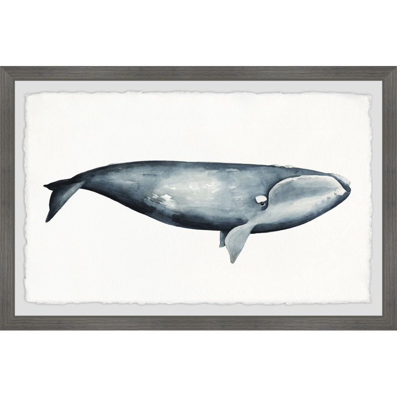 Aife " Giant Blue Whale " Painting Print, 16" H x 24" W