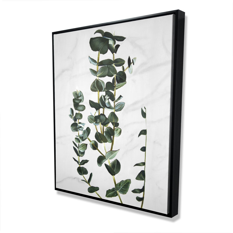 Tiges d'eucalyptus encadrées, art floral