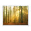 «Autumn Morning Forest», reproduction d'art sur toile traditionnelle-752765665-752765677