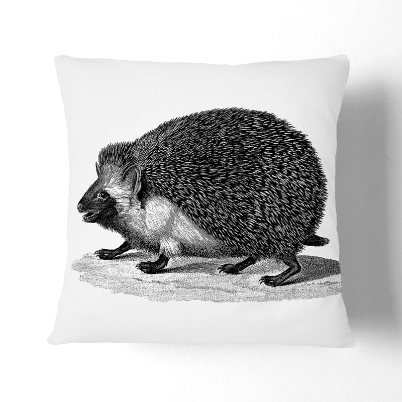 Square Throw Cushion, Black, 40cm H x 40cm W x 15cm D