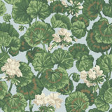 Geranium Floral Wallpaper Roll