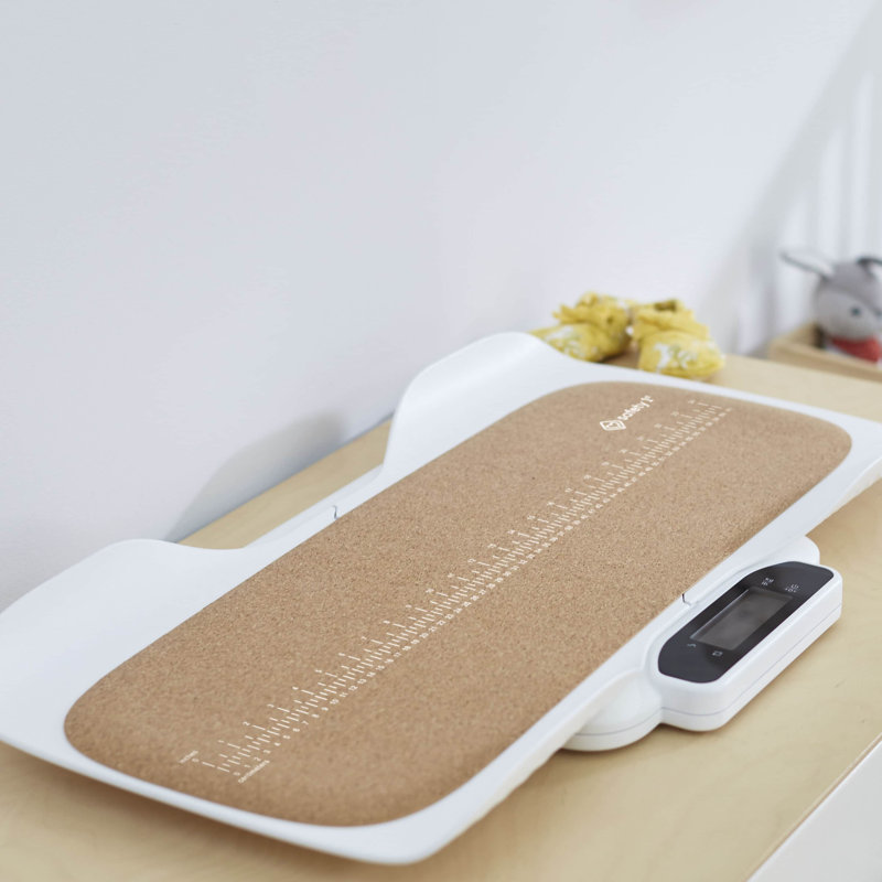 Safety 1ˢᵗ® Smart Family Scale
