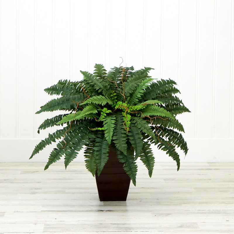 Varner 21 " H Faux Fern Plant
