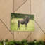 No Frame Print on Canvas-874145331