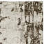 Tapis brun Mcelroy-22531340
