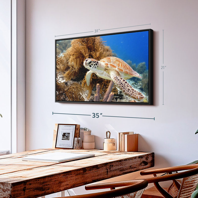Turtle Reef Canvas Print, 21" H x 31" W