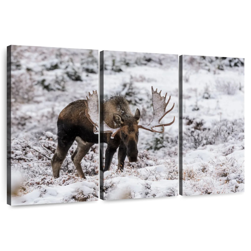 Alaskan Winter Moose, 42" H x 65" W