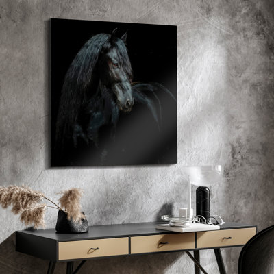 " Black Equine Attraction " by Ph Burchett