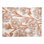 Peachy Flower Pattern Placemat