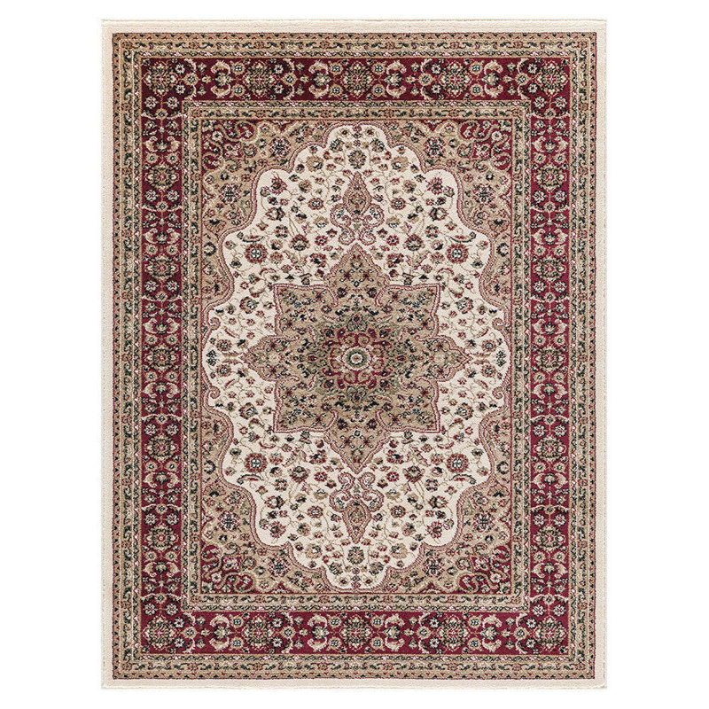 Howell Oriental Area Rug, Rectangle 60 x 110cm