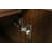 Cerna Dining Server