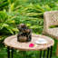 Fontaine décorative 3 niveaux 6,3 x 5,1 x 10,8 po avec pot