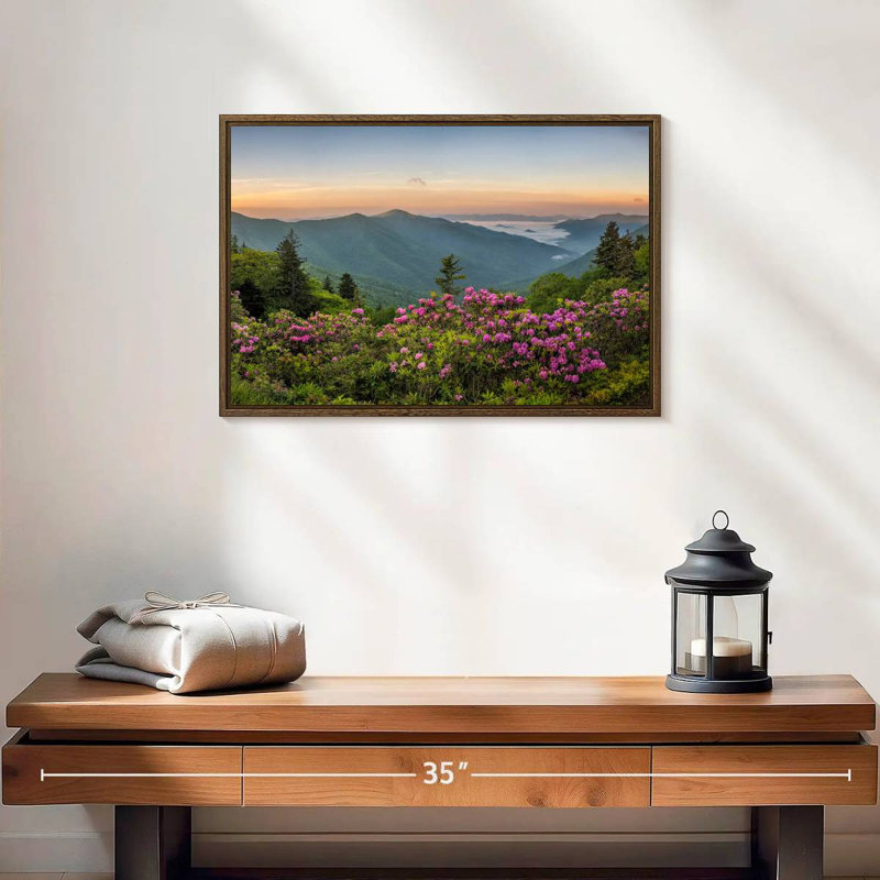 Blue Ridge Mountains View, 19" X 13", Floating Frame Walnut