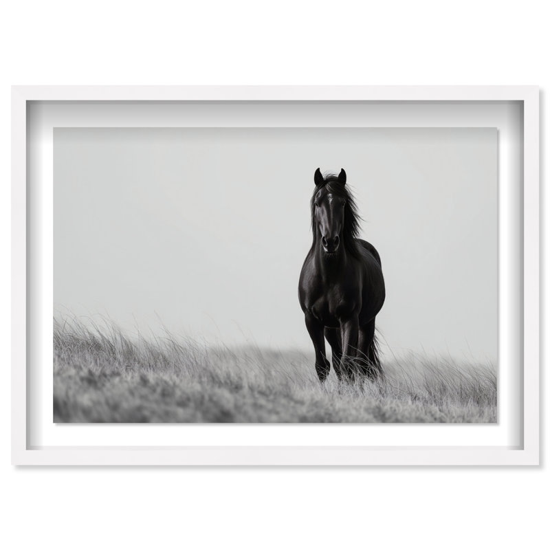 Lone Stallion I Print by Oliver Gal, 11.5" H x 16.5" W, White Shadowbox