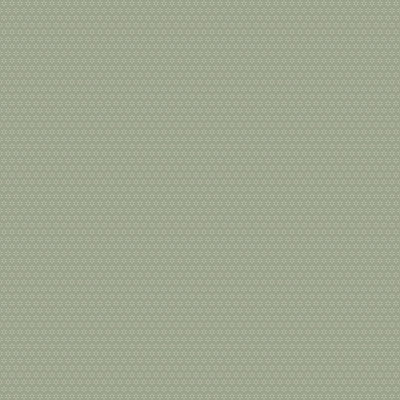 Angastina 10.05m x 53cm Matte Paste the Wall Wallpaper Roll