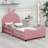 Upholstered Daybed With Rabbit Ear Shaped Headboard-2085556614