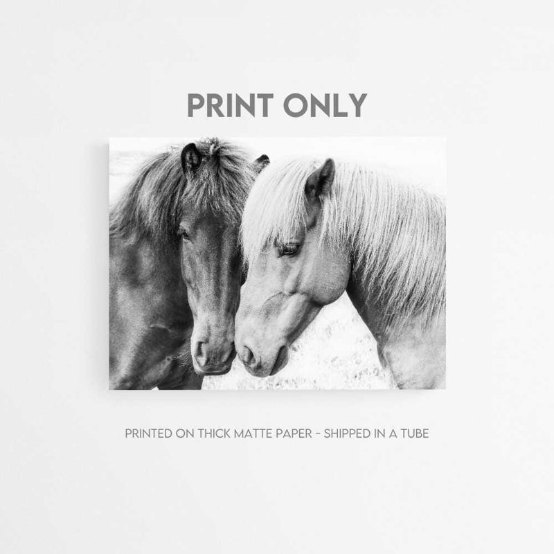«Wild Horses Companions» - reproduction d'art chevalier noir et blanc, Impression encadrée sans passe-partout, Blanc