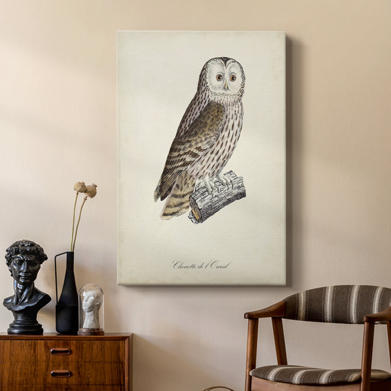 French Owls V - galerie sur mesure, H 18 po x l 12 po
