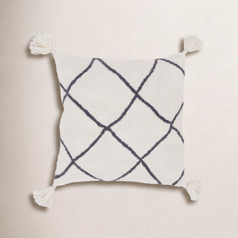 Saveria Tassels Throw Pillow, Down Fill, 18" x 18"