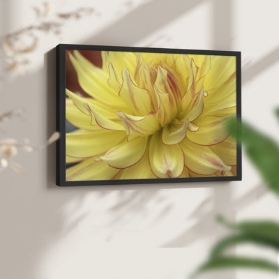 Blooms I -Framed Print - Restickable