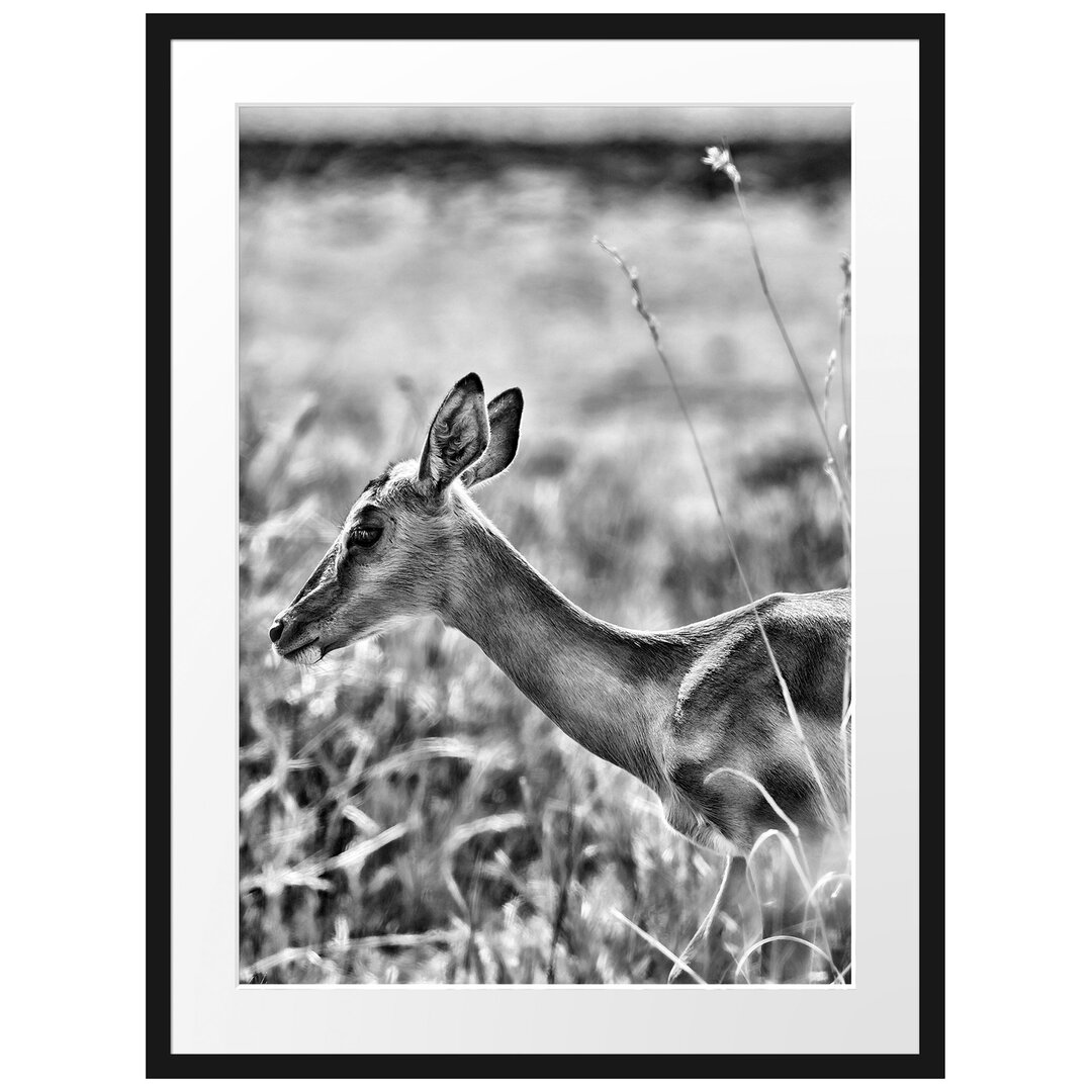 Gerahmter Fotodruck Gazelle in the Tall Grass