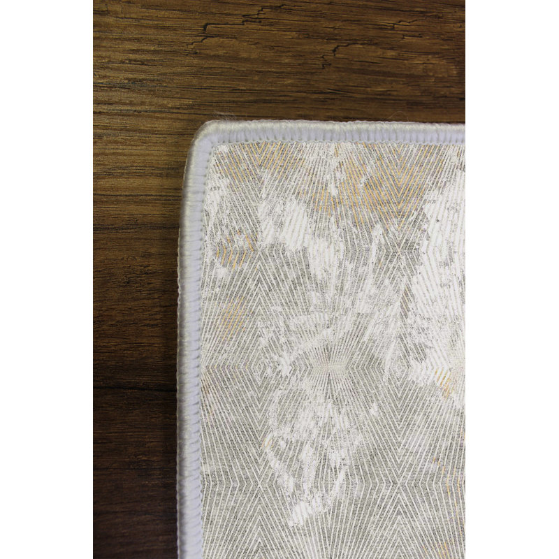 Premium Hall Carpet, 3.3 x 6.6 ft, Grey | 100% Polyester, 650 g/m² | Antibacterial, Non-Slip PVC Dot Underside | Machine Washable, Eco-Friendly, 0.2 in Pile Height | Perfect for Entryway, Living Room & Bedroom