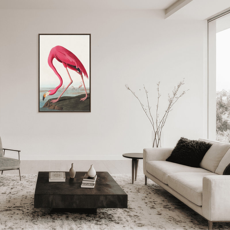Coastal Retreat Pink Flamingo II From Birds Of America (1827), 24" H x 16" W x 2.375" D, Framed Canvas, Black