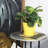 Pansy Ceramic Pot Planter-88134234