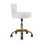 Accent Stool