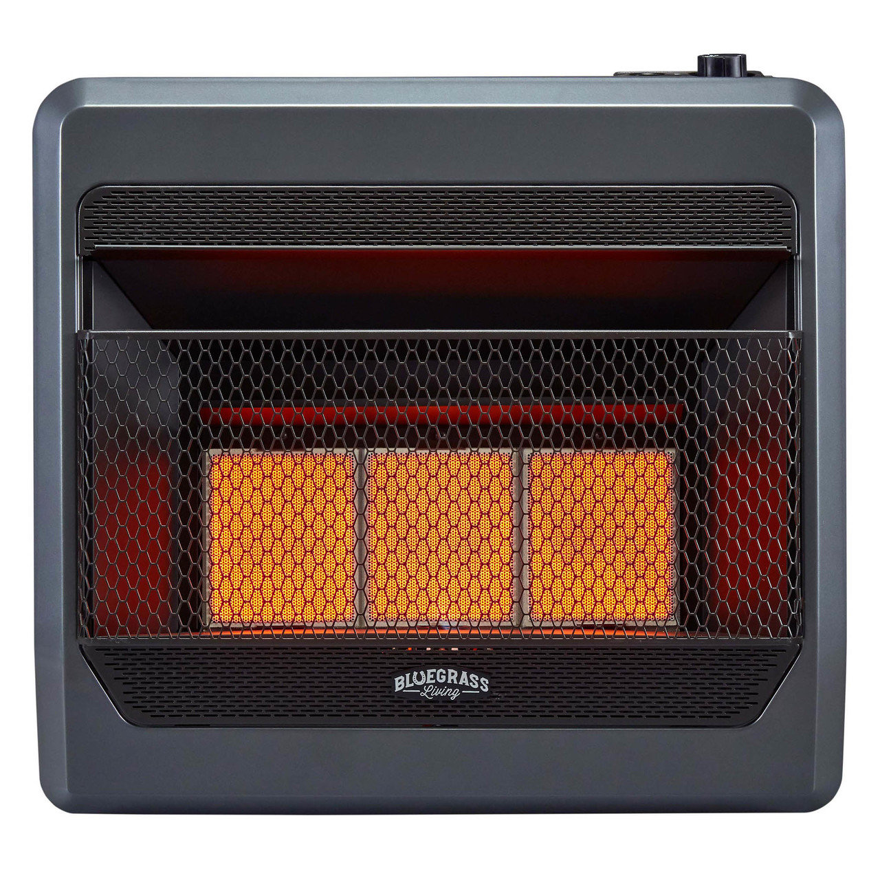 Bluegrass Living 30000 BTU BTU Natural Gas High Efficiency Space Heater  with Adjustable Thermostat and with Digital Display u0026 Reviews | Wayfair