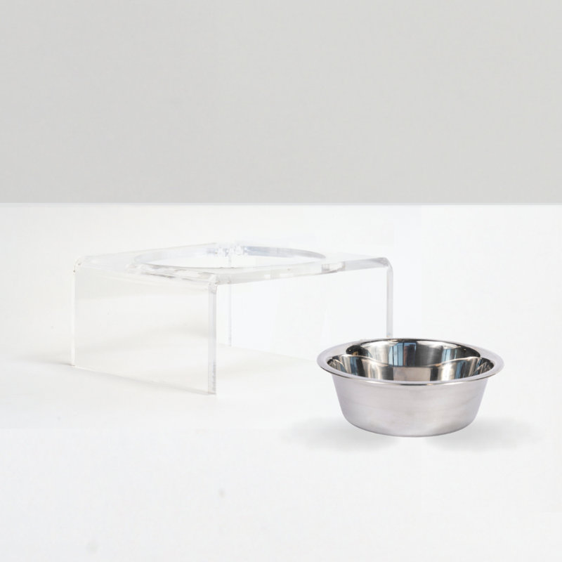 Single Bowl Elevated Feeder with Bowl, Silver, Clear