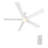 60'' Ceiling Fan with LED Lights-926586047-926586040