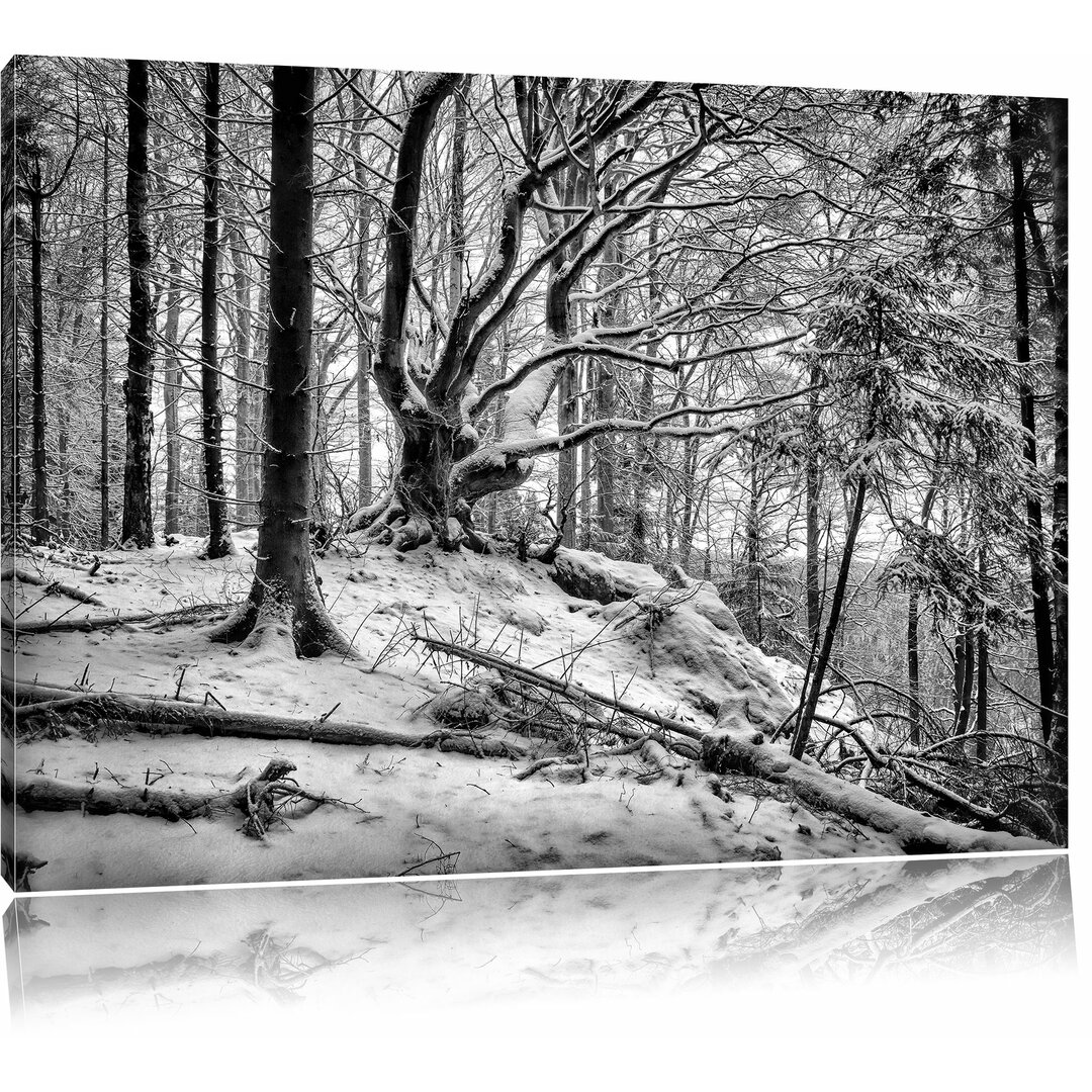 Leinwandbild Wundervoller Wald mit Schnee bedeckt in Monochrom