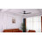 Brend 52'' Ceiling Fan with LED Lights-762079137
