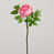 Rose clair est en rupture de stock