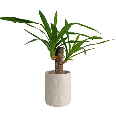 Ceramic / Porcelain Jar