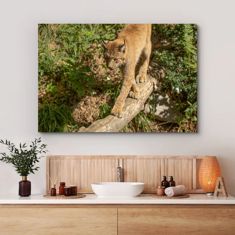 Caracal Walking on a Log, 8" H x 12" W
