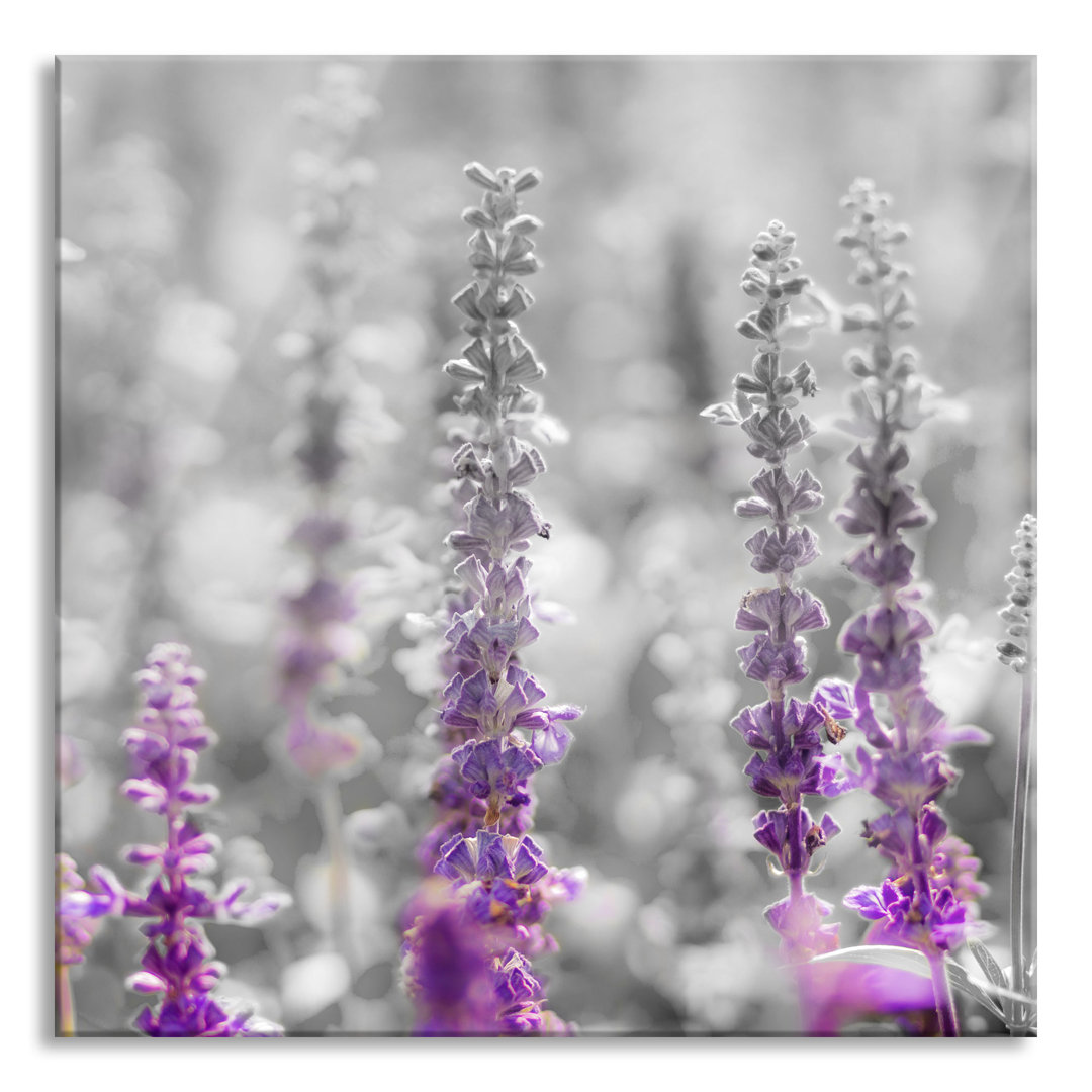 Glasbild Quadratisch | Wandbild Auf Echtglas | Schöne Violette Lavendelblüten Inkl. Aufhängung Und Abstandshalter 2