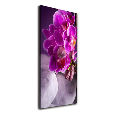 Pink Orchid - Wrapped Canvas Print